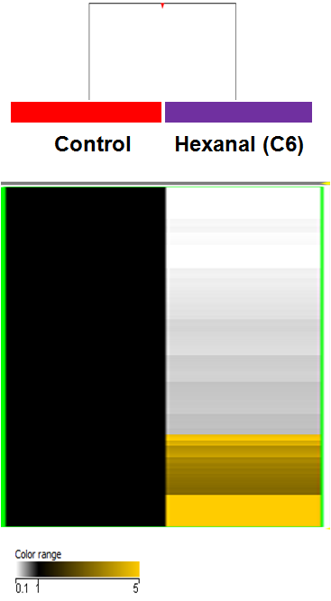 Hexanal(C6) 특이 methylated DNA 지표 발현 양상