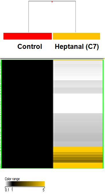 Heptanal(C7) 특이 methylated DNA 지표 발현 양상