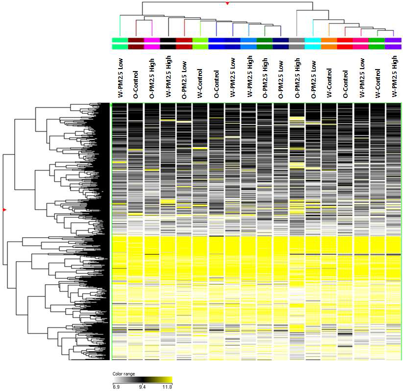 PM2.5 노출 마우스 모델에서의 DNA methylation 양상-시료별 clustering