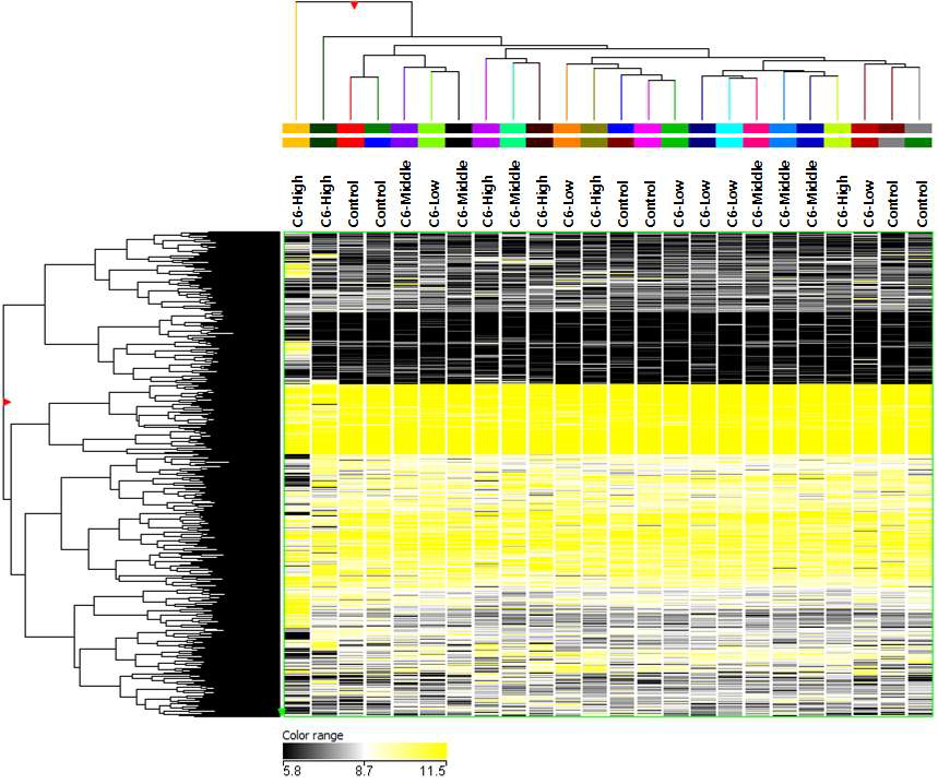 Hexanal 노출 동물 모델에서의 DNA methylation 양상-시료별 clustering