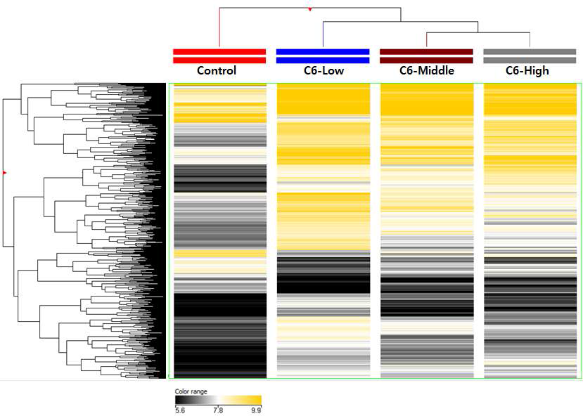 Hexanal 노출 rat 모델에서의 DNA methylation 양상-그룹별 clustering