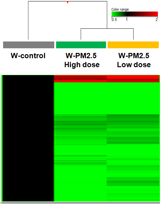 동물 모델에서 W-PM2.5 노출에 따라 특이적으로 발현 변화를 보이는 유전자의 발현 양상