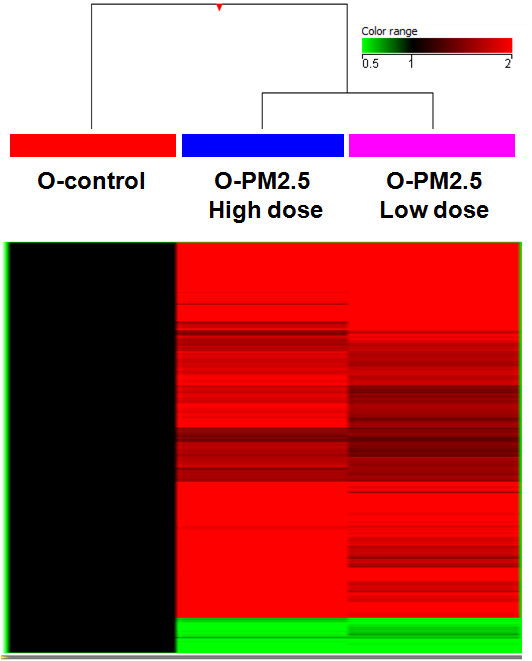 마우스 모델에서 O-PM2.5 노출에 따라 특이적으로 발현 변화를 보이는 유전자의 발현 양상