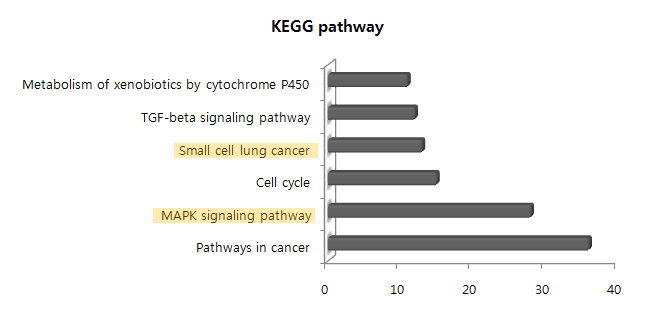 O-PM2.5 노출 특이 유전자들의 KEGG 분석