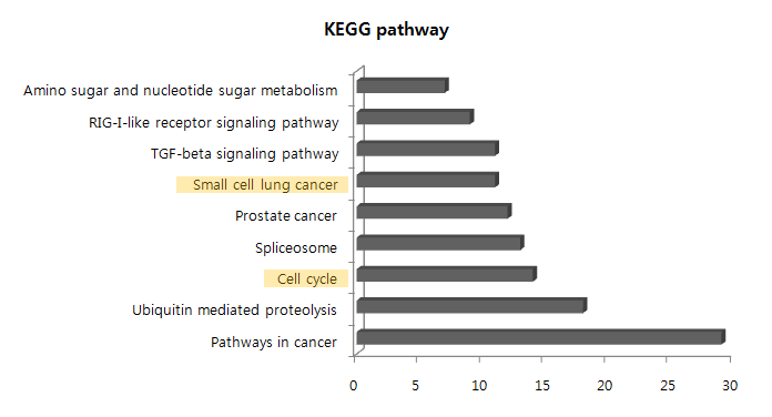 O-PM2.5 농도 의존적 특이 유전자들의 KEGG 분석