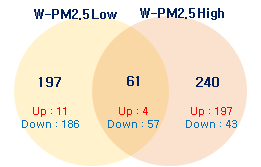 동물 모델에서 두 가지 농도의 W-PM2.5 노출에 의해 공통적으로 발현 변화한 miRNA 수
