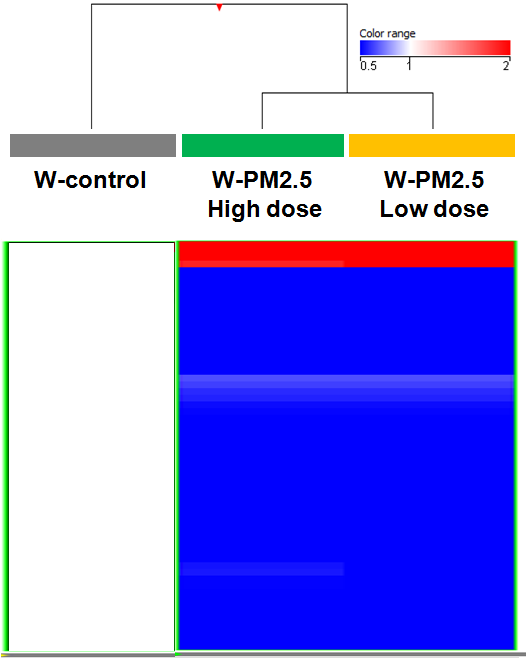 마우스 모델에서 W-PM2.5 노출에 따라 특이적으로 발현 변화를 보이는 miRNA의 발현 양상
