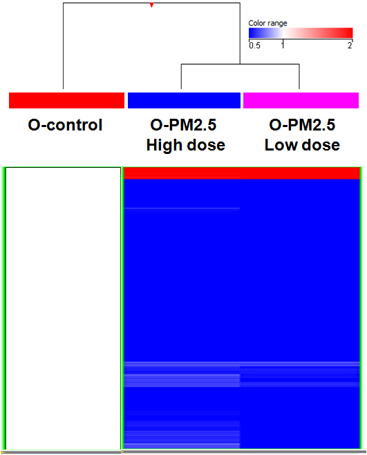 마우스 모델에서 O-PM2.5 노출에 따라 특이적으로 발현 변화를 보이는 miRNA의 발현 양상