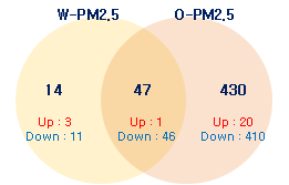 동물 모델에서 PM2.5 extract에 의해 공통적으로 발현 변화한 miRNA 수