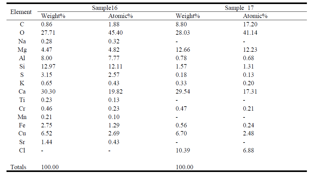 Sample 16, 17의 EDS 분석