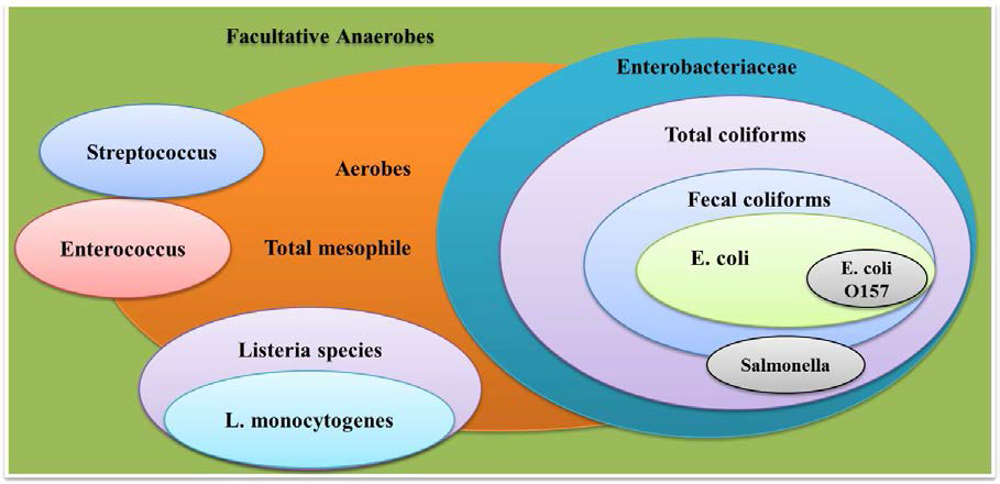 Classification of the microorganisms in the environment
