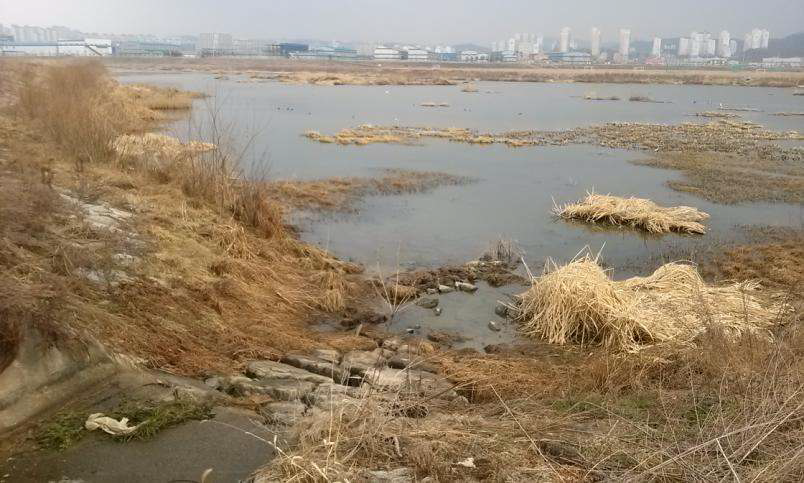 주거 지역 비점 유출 모니터링 지점