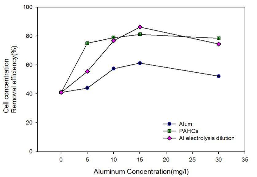Algae removal efficiency with various type of Aluminium injection by cell concentration