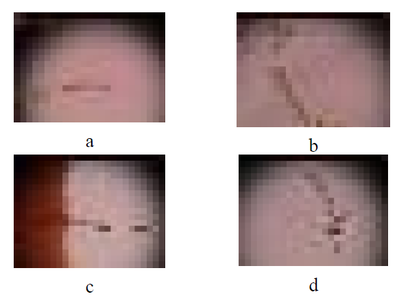 분해된 세포들의 현미경 이미지: (a) 기존의 모양, (b) 응집 후, (c) 음의 기포 주입 후, (d) 양의 기포 주입 후
