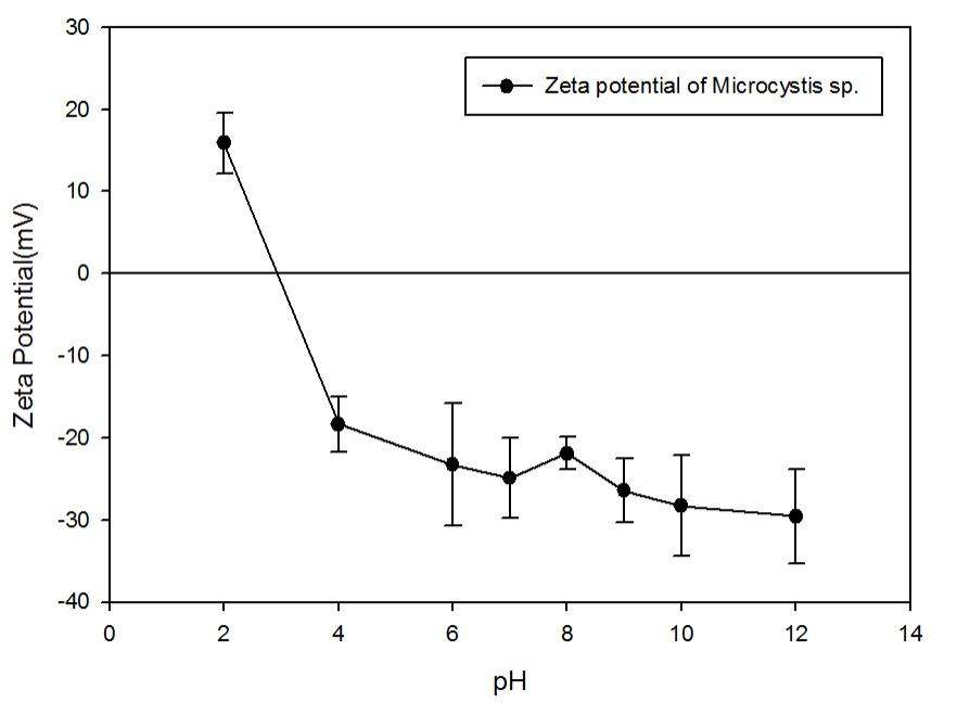 pH에 따른 조류(Microcystis Sp.)의 제타전위 측정결과