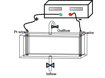Schematic diagram of electrophoresis cell