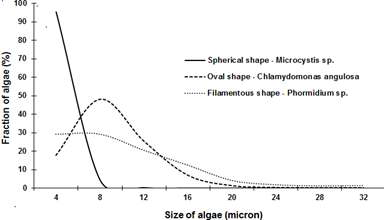 Size distribution of 3 algae species