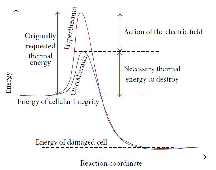 Oncothermia needs less thermal energy to make the same distortion than the classical hyperthermia does