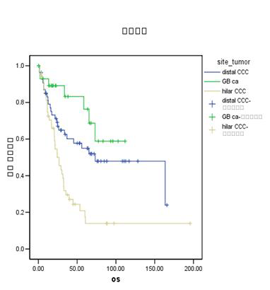 근치적으로 절제된 간외 담도암 환자의 생존 곡선
