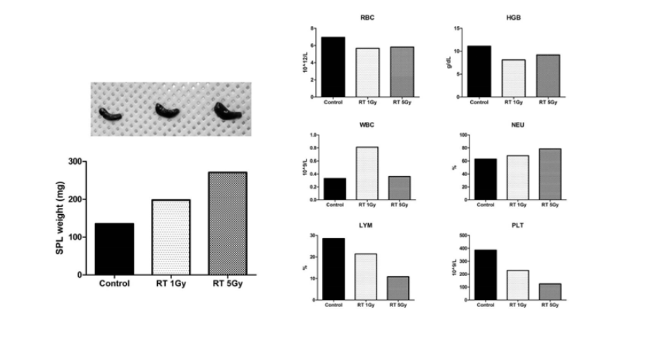 Irradiation induced changes in spleen weight and blood cells counts of normal NSG mice