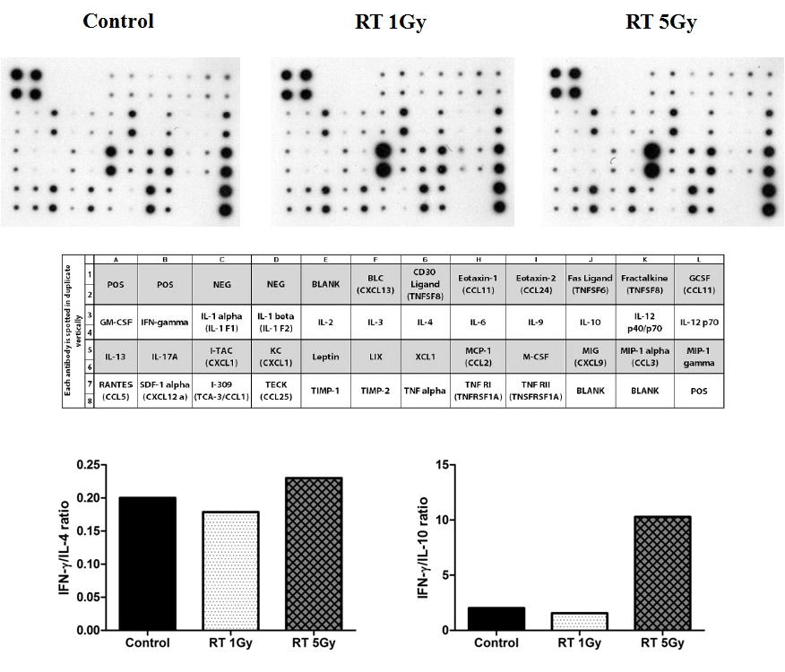 Irradiation induced cytokine changes in blood of normal NSG mice