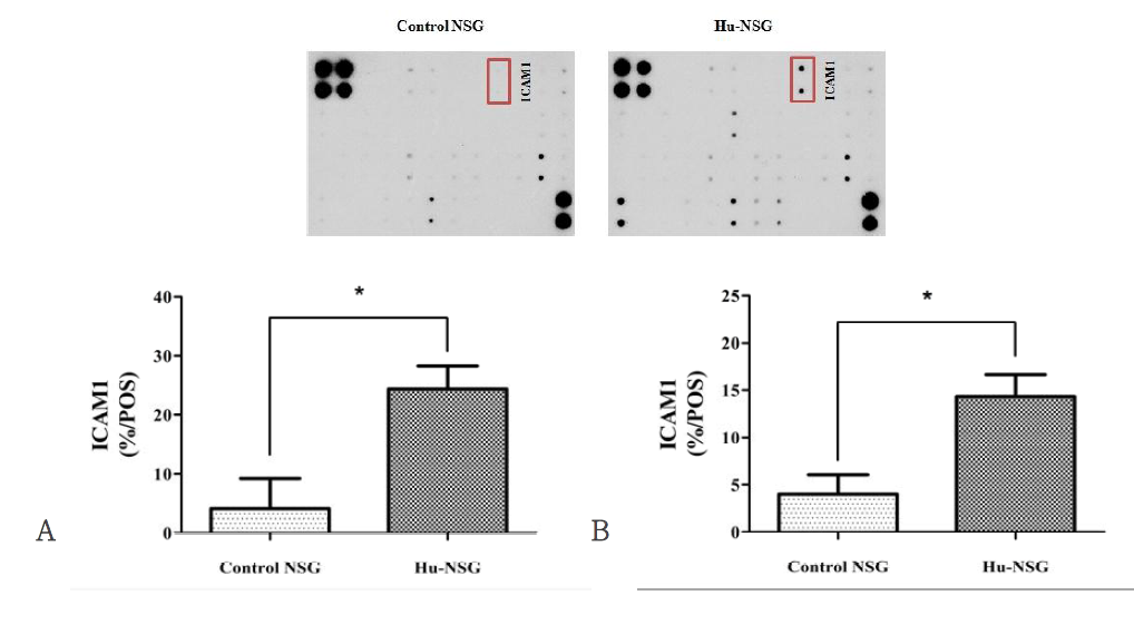 Radiation induced cytokine changes in blood of hu-NSG mice