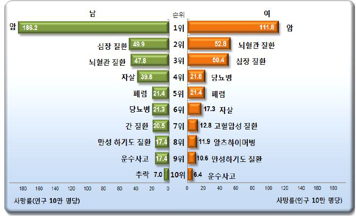 성별 사망원인 순위, 2013년