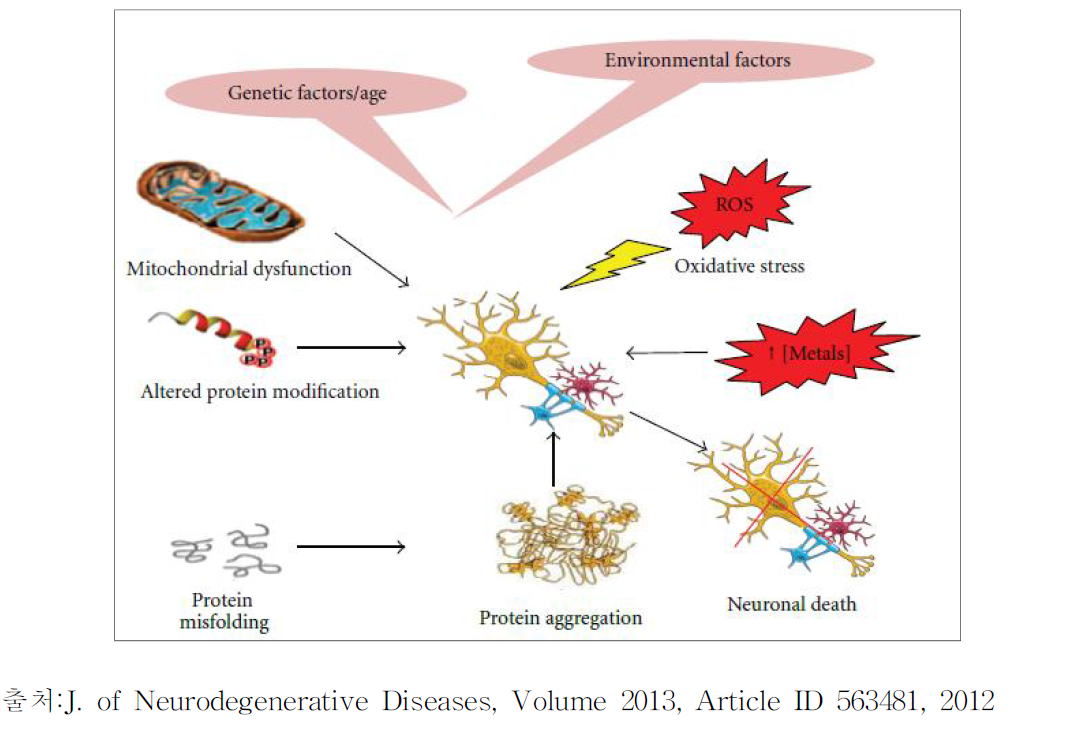 퇴행성 뇌질환 관련 인자들
