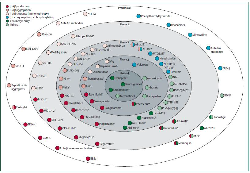 알츠하이머 치매에서의 약물 개발