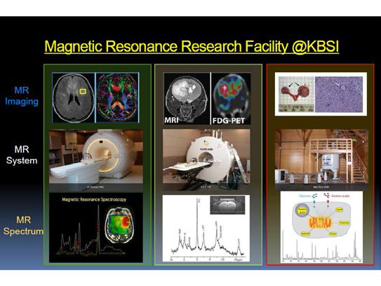 기초과학지원연구원 MRI 연구 영역