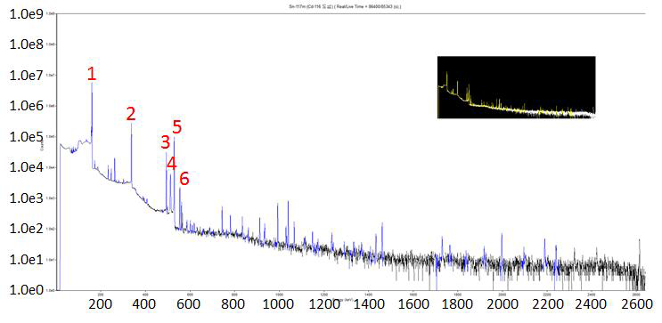 Cd-116 target에 alpha beam 조사(45MeV, 10㎂) 후 HPGe detector 이용한 γ-spectrum