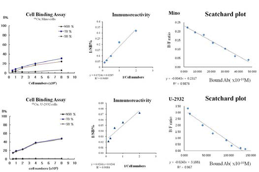 Cu-64-DOTA-Rituximab 의 표지 후 항체를 4가지 다른 CD-20 발현 B림프종 세포주에서 Lindmo assay 실험 수행한 결과