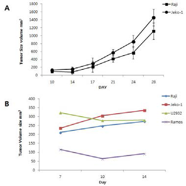 (A) Matrigel을 이용한 Raji, 그리고 Jeko-1의 종양 성장그래프 (B) Matrigel을 이용한 Raji, Jeko-1, U2932, 그리고 Ramos 종양 성장그래프
