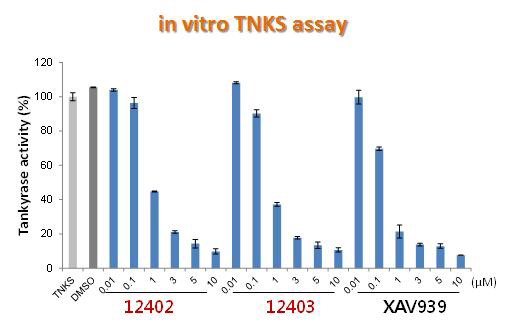 신규 유도체 2종 화합물의 농도별 TNKS 저해 효과