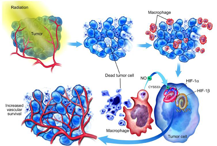 Ng et al.,Transl Cancer Res. 2013