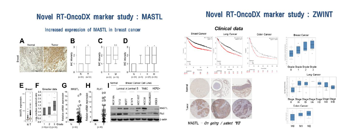 유방암 방사선저항성 판별인자 MASTL/ZWINT
