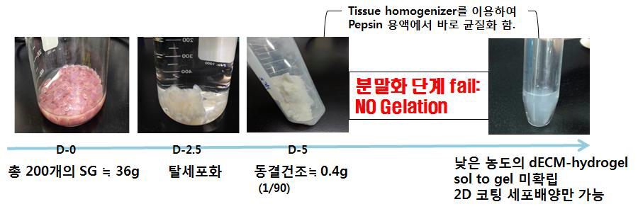 기존의 침샘조직 dECM-hydrogel 생산 고찰: 침샘조직 탈세포화 후 분말화 실패로 및 이로 인한 pepsin 용액의 낮은 용해도로 낮은 점성도의 dECM-hydrogel 생산