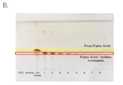 B: fatty acid-aniline conjugate TLC