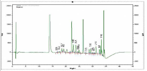 HPLC chromatogram of free amino acids of Meju produced by south-Andong Nonghyup(메주)