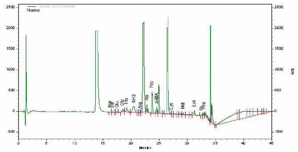 HPLC chromatogram of free amino acids of Soybean paste remained making soy sauce.(간장을 만들고 남은 된장의 유리 아미노산 분석)