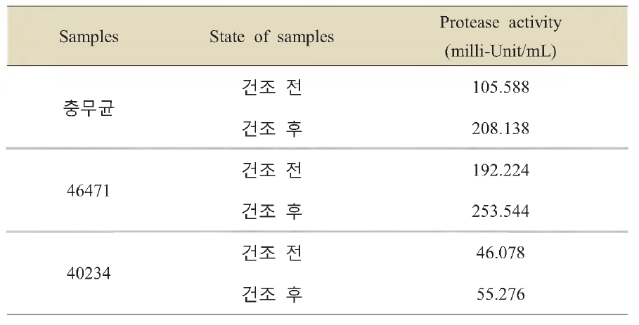 Protease activity of soybean paste produced from the mycotoxin free strains.