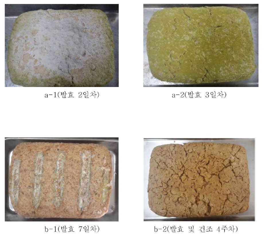 State of Meju during the fermentation by Aspergilus oryzae 46471