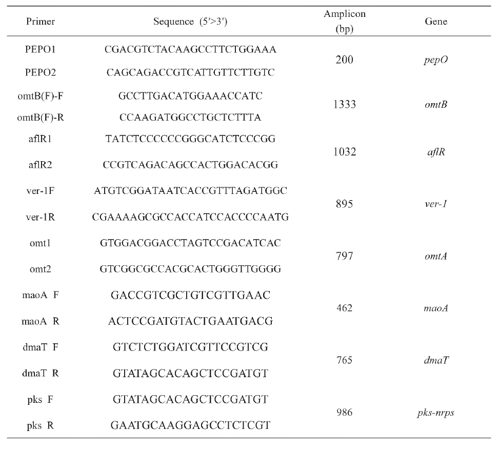 The information of primers used in this study