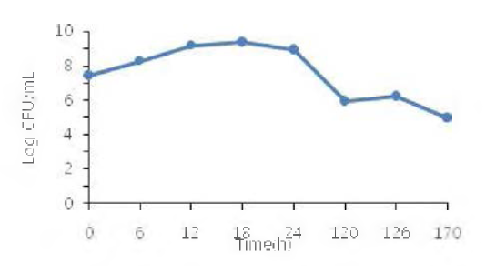 L. brevis GABA100의 배 양 시간별 CFU 변화