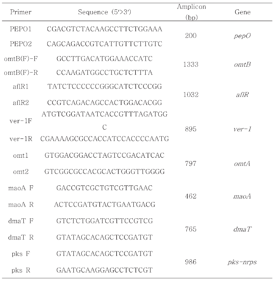 The information of primers used in this study