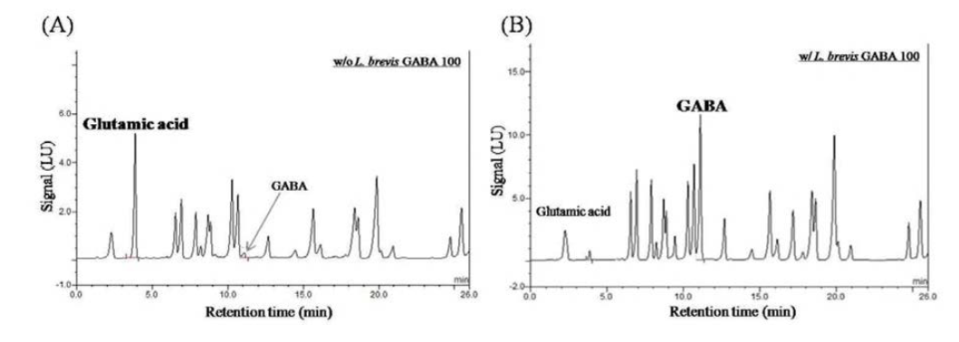 High-performance liquid chromatogram for GABA production depending on the inoculation of LAB