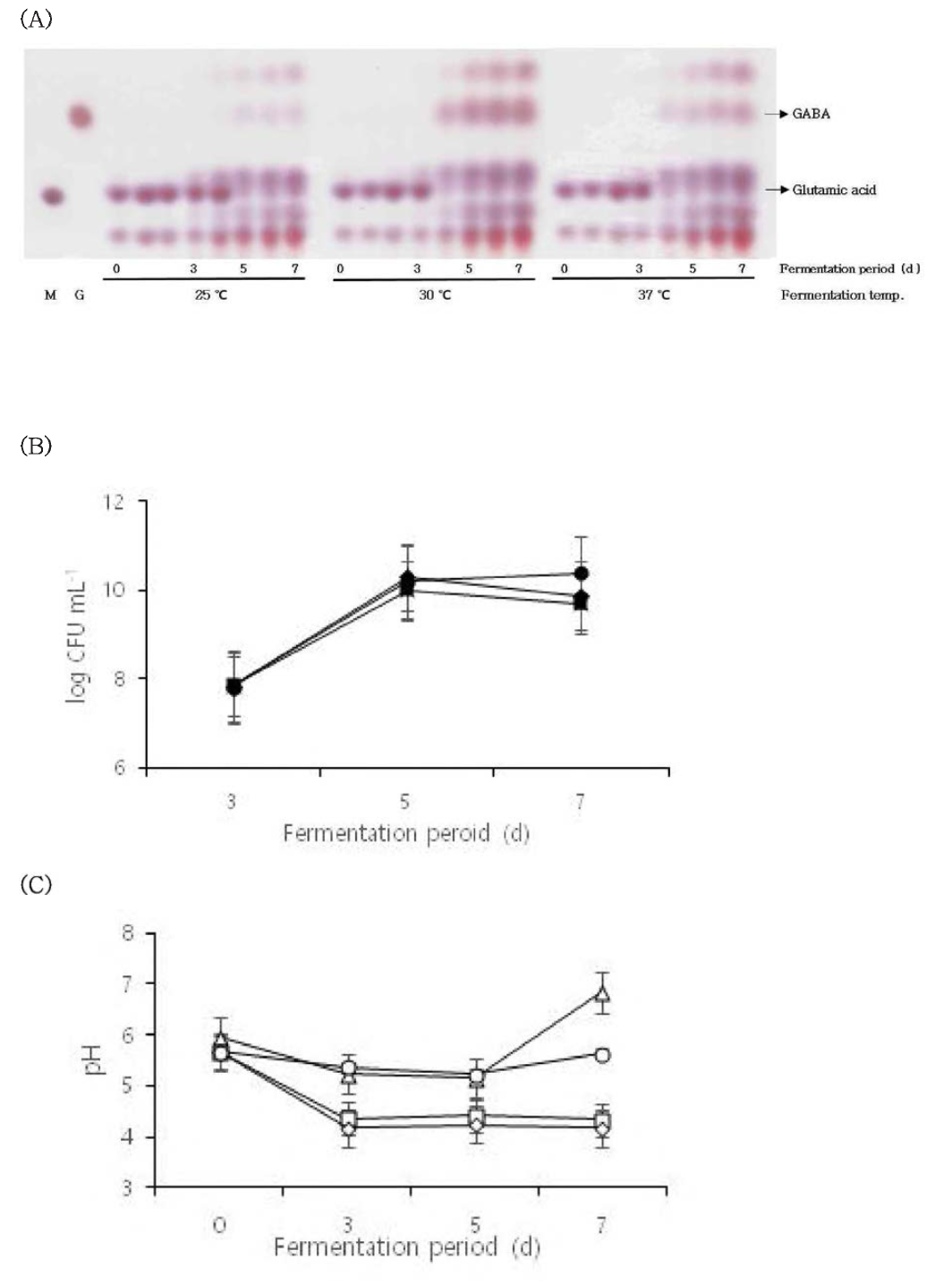 Effect of fermentation temperature for GABA production in SB-STE. M，MSG; G, GABA