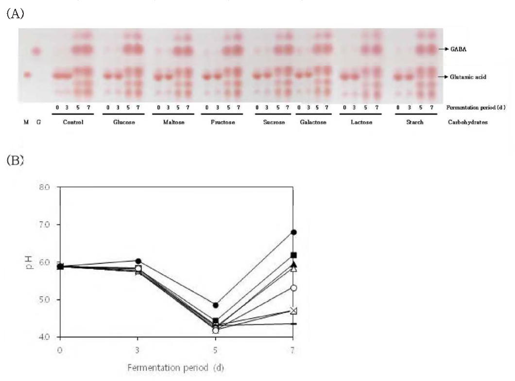 Effect of various carbohydrates added into SB-STE on the production of GABA.