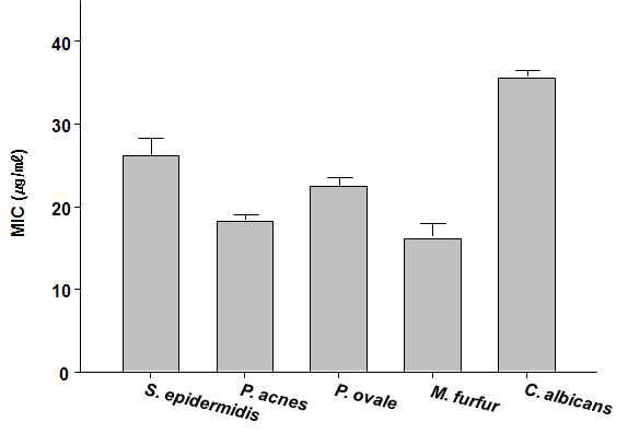 Effects of green tea extract(SE) on antimicrobial activity by Minimum inhibitory concentrations (MIC) assay