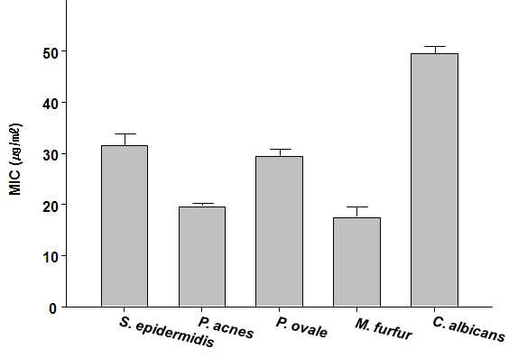 Effects of green tea extract(WE) on antimicrobial activity by Minimum inhibitory concentrations (MIC) assay